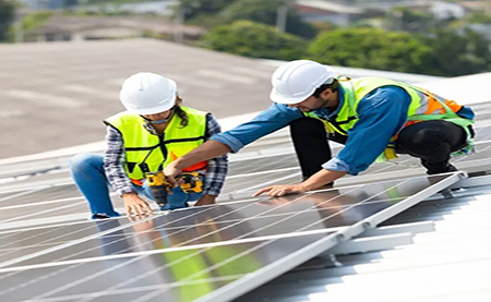 速看，這所2W人高校如何利用暑期，快速搭建綠色校園